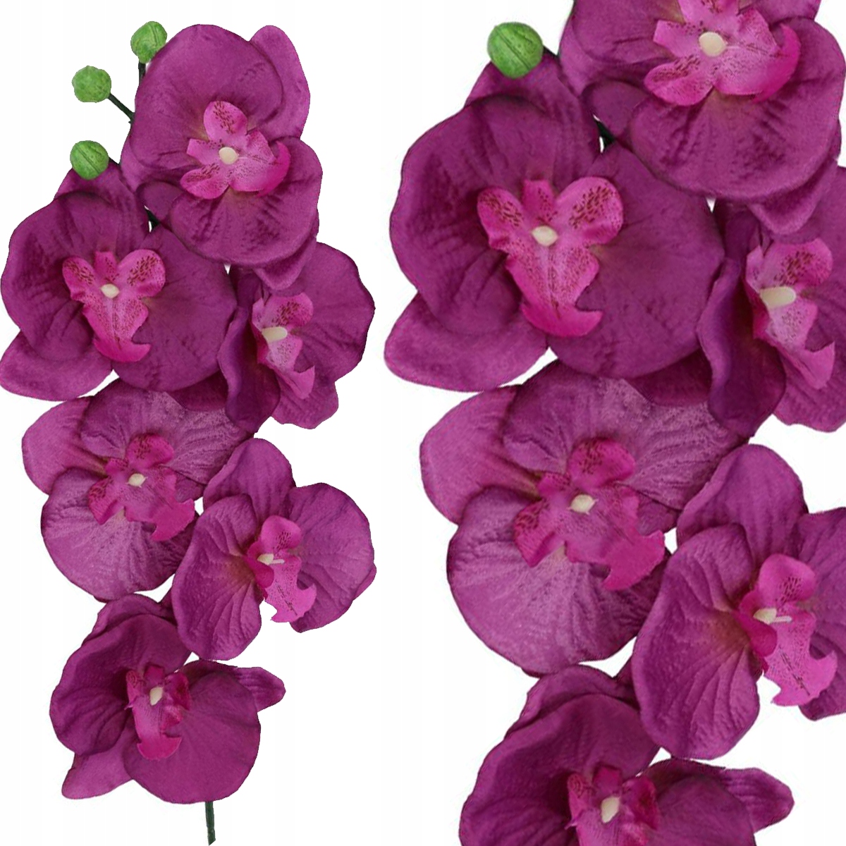 

Storczyk Orchidea Gałązka Jakość Jak Żywy 90cm
