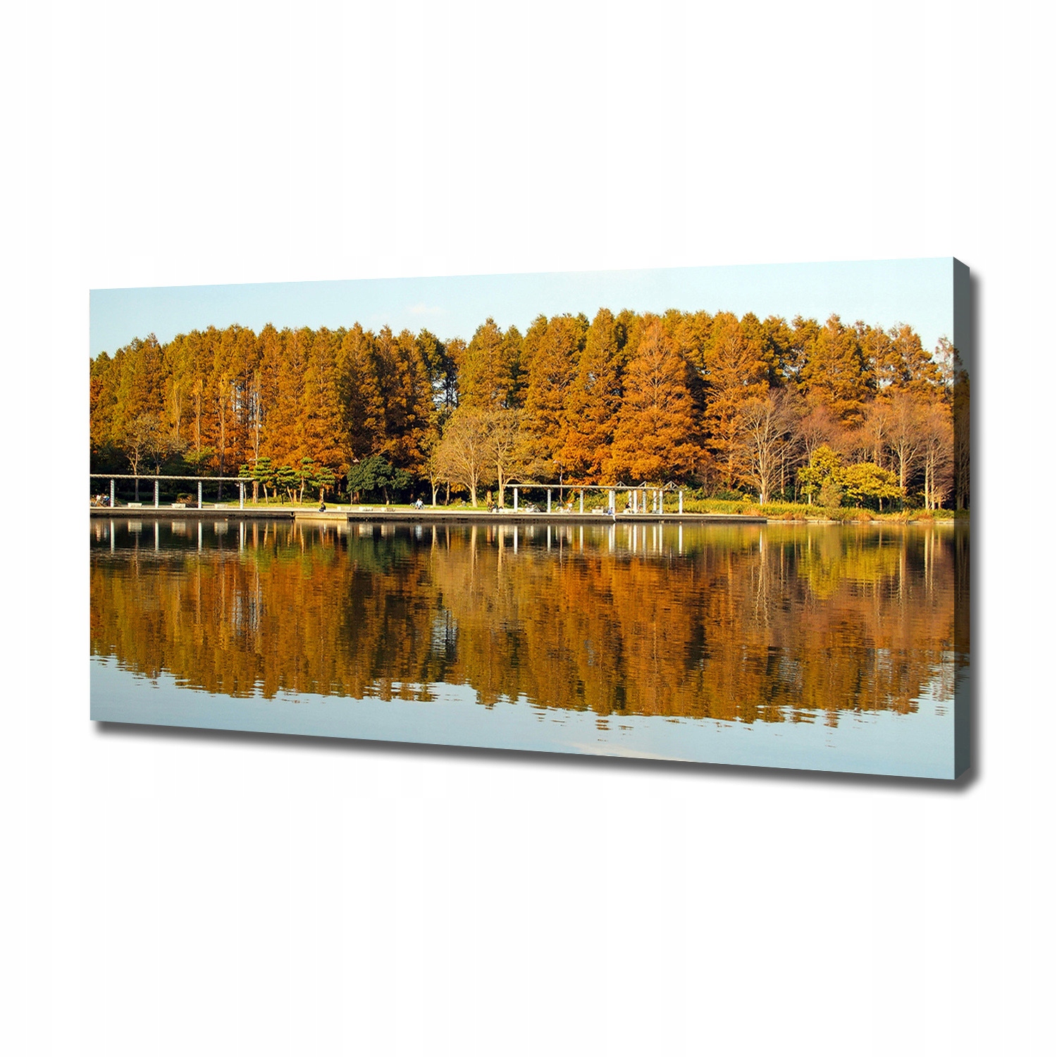

Foto obraz na płótnie Las nad jeziorem 120x60 cm