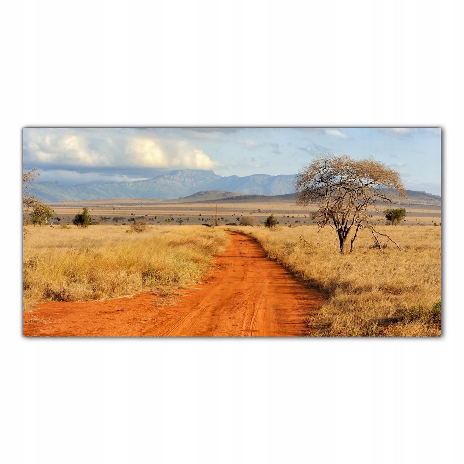 Afrika Stromy Krajina 120x60 Lacobel do kuchyně