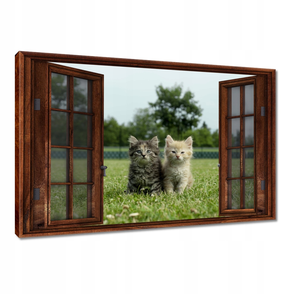 

Obrazy 120x80 Kot Kotek Kotki Koty