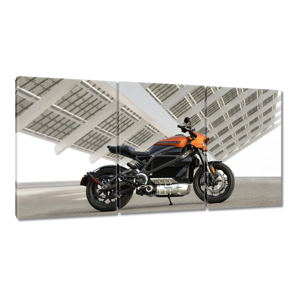 

Obrazy 120x60 Harley Davidson Motocykl