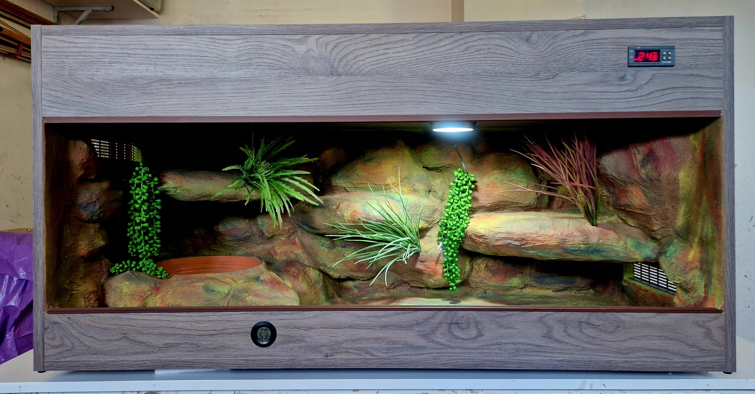 Tropické Terárium Pro Hada S Aranžováním A Vybavením 100x40x52