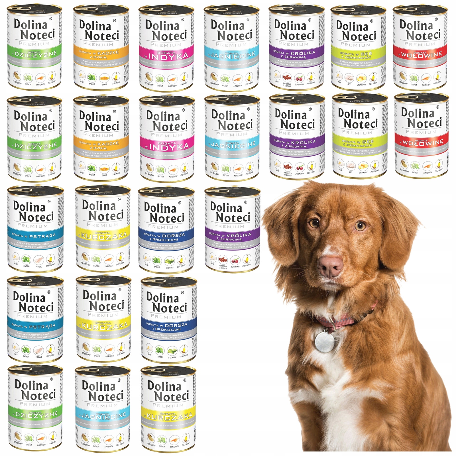 Levně Dolina Noteci Premium Krmivo pro psa mix chutí 24 x 400 g