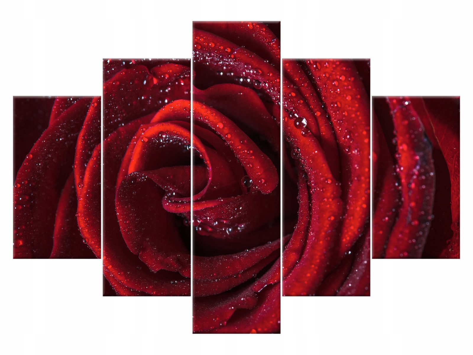 

Obraz Tryptyk Bordowa róża 150x105 Kwiaty 2047A_5H