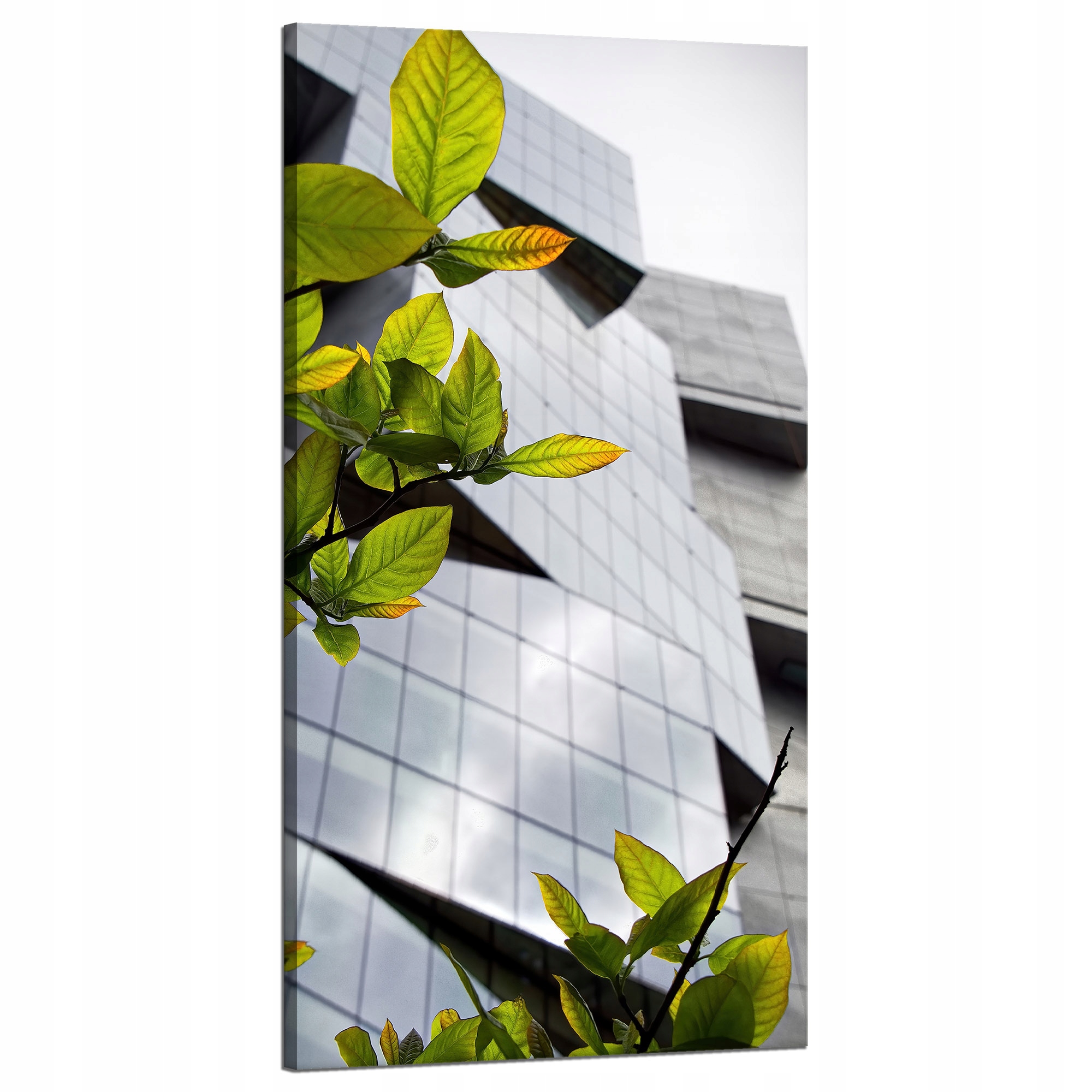 Obraz na plátně Architektura Moderní budova Příroda 60x120 cm