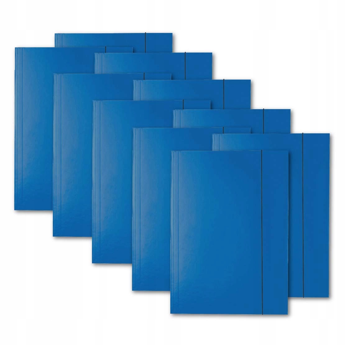 

10szt Teczka A4 Z Gumką Esselte Lakierowana Teczki