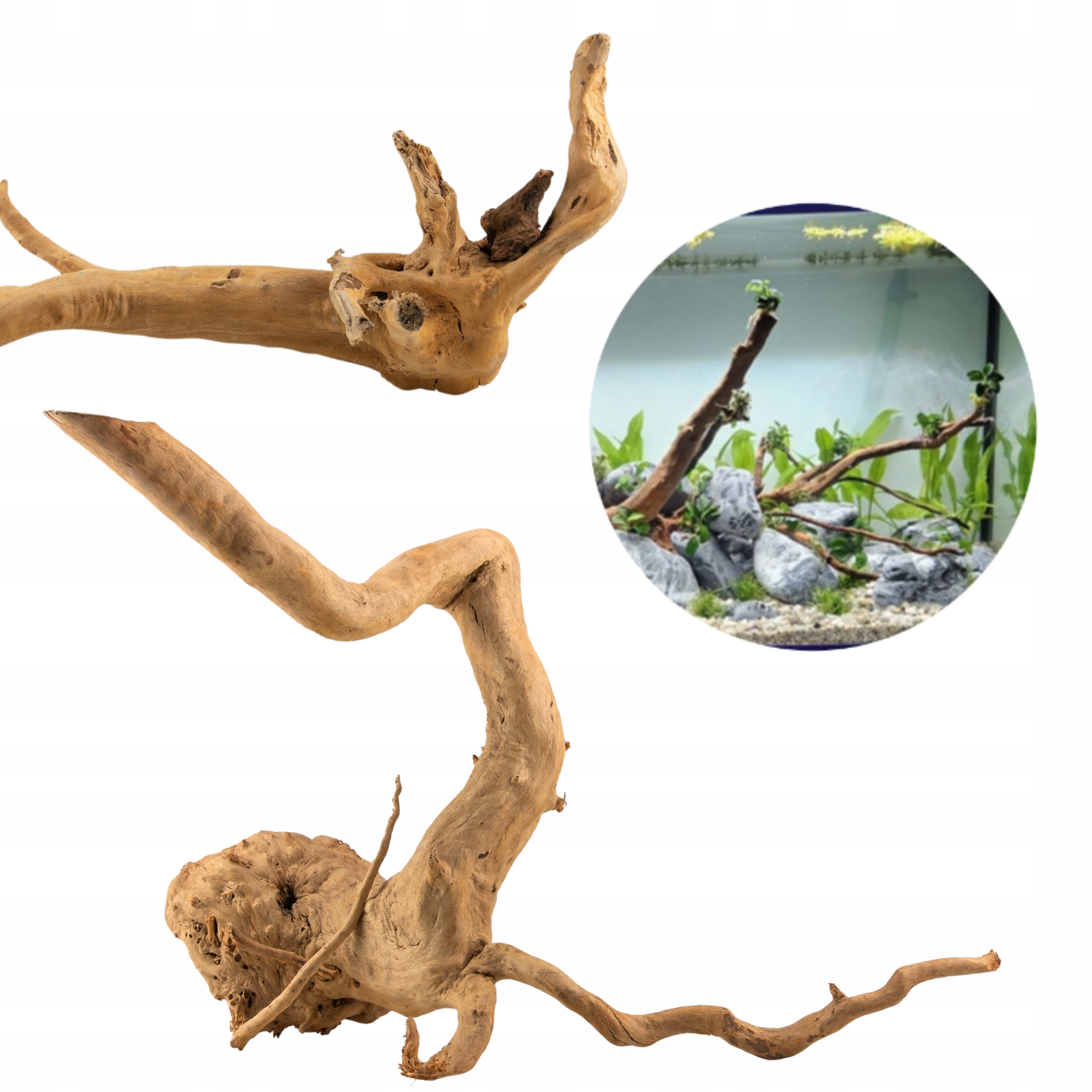 Levně Kořen Pro Akvárium Red Moor 50-60 CM, Pevný A Masivní, 1 Ks!