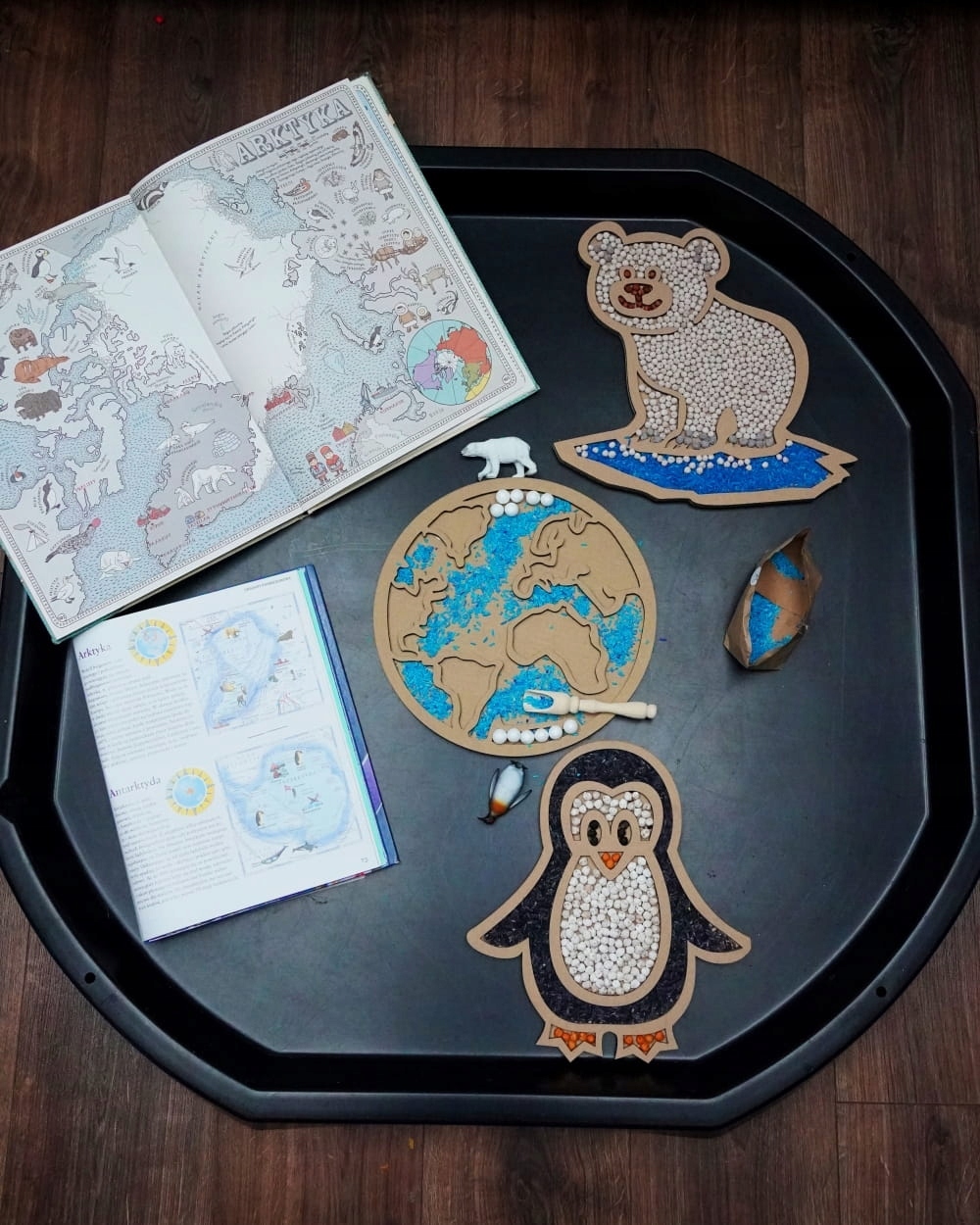 Sensokarton Ziemia Kod producenta AD0F-33893