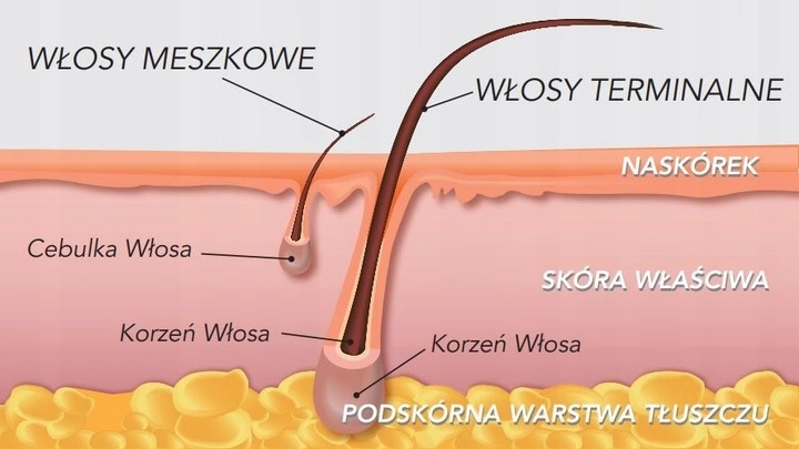 ITALWAX perełki dropsy wosk do depilacji bezpaskow Rodzaj wosk