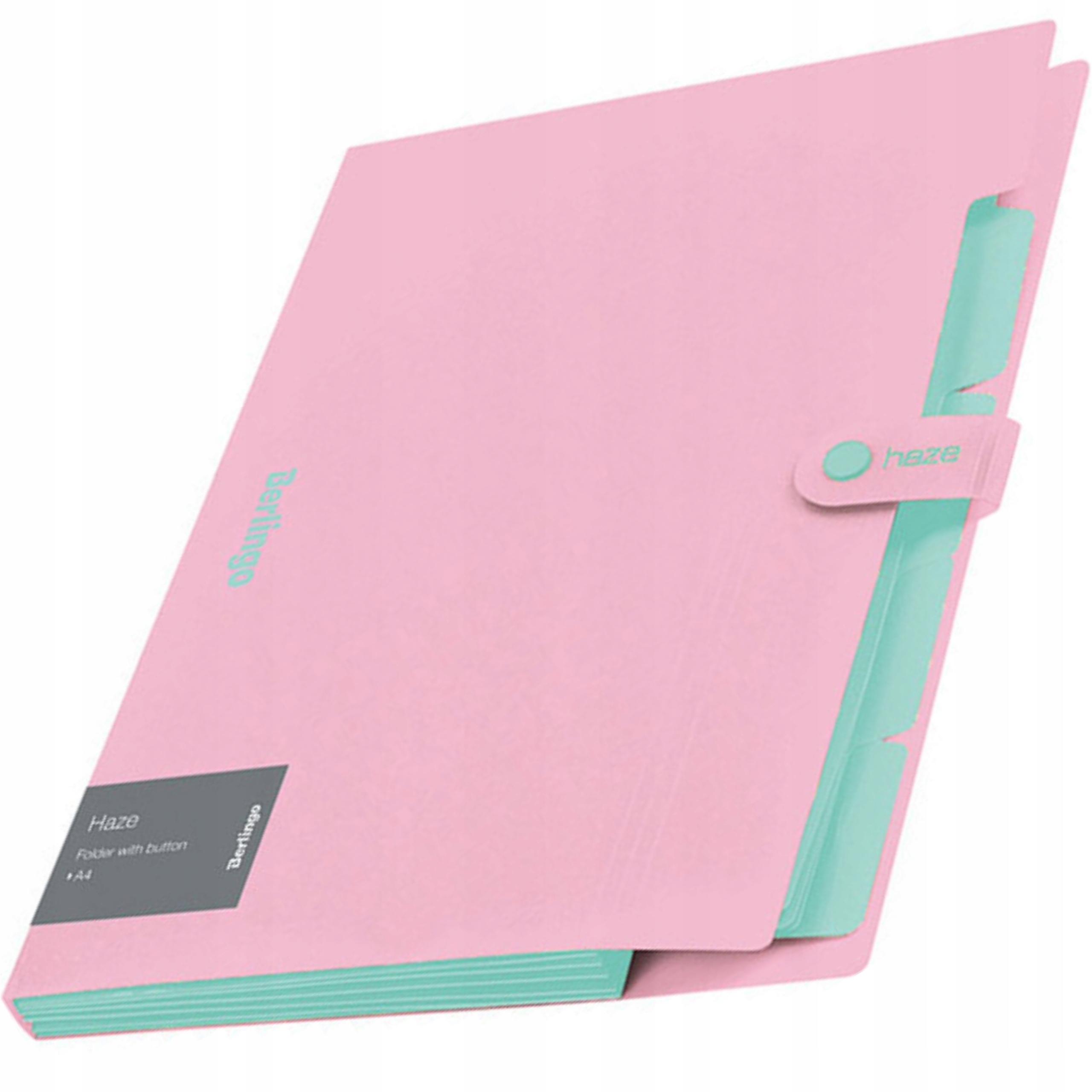 Teczka na dokumenty A4 z przegródkami harmonijkowa Berlingo Haze różowa EAN (GTIN) 4260709080338