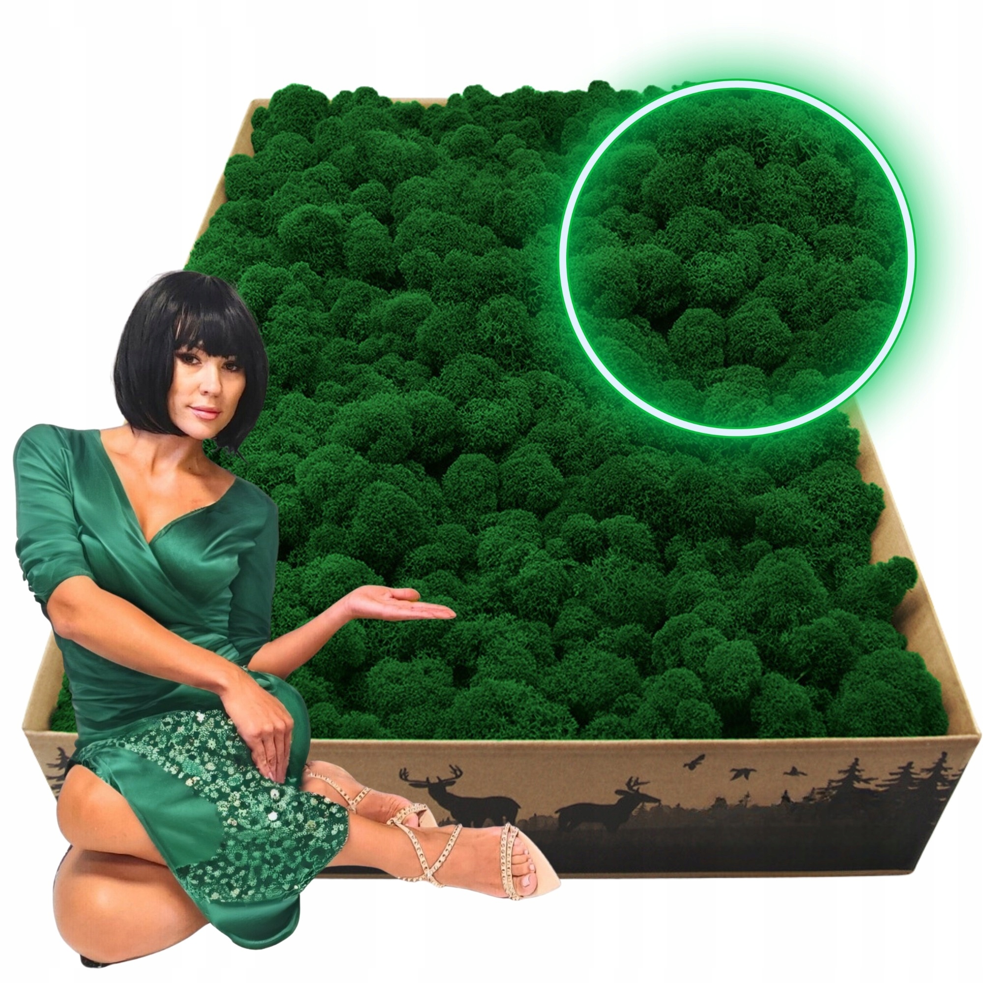 Mech Chrobotek Reniferový finský 2kg Očištěný Premium středně zelený