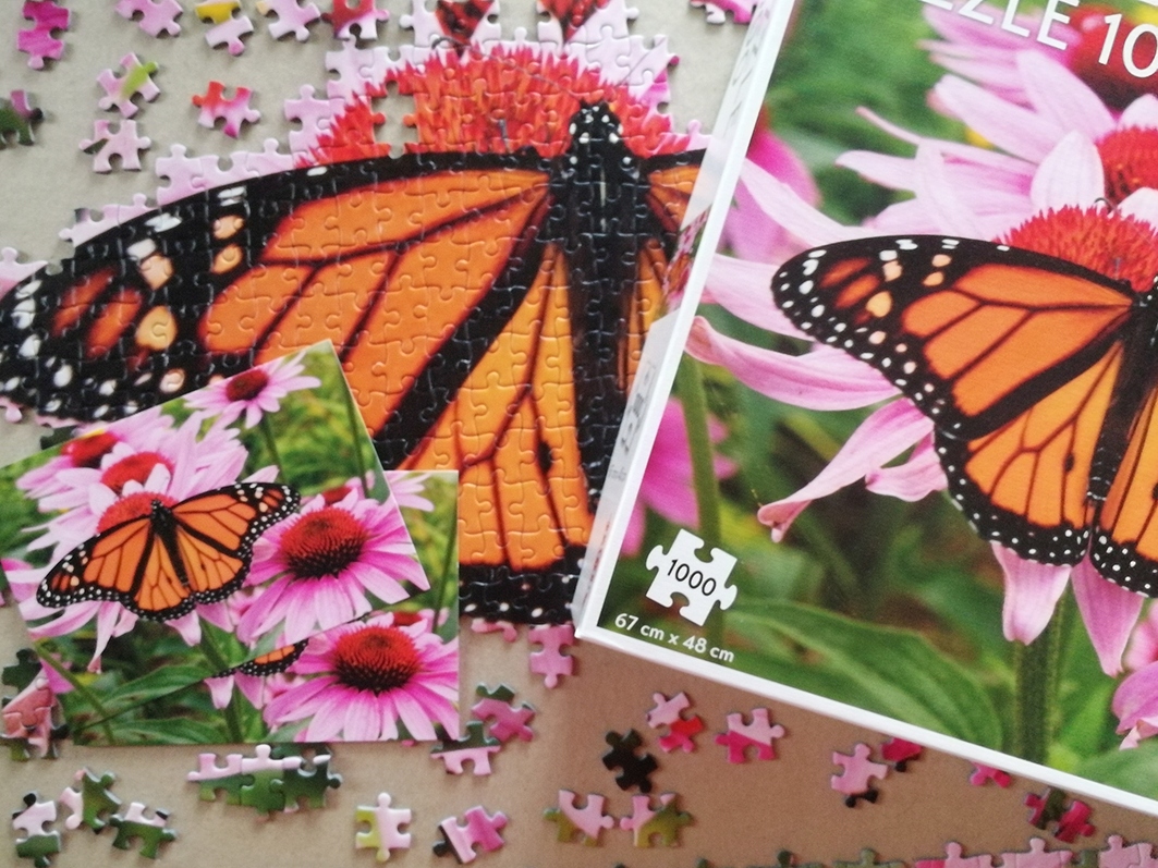 Tactic PUZZLE Motyle 1000el Liczba elementów 1000
