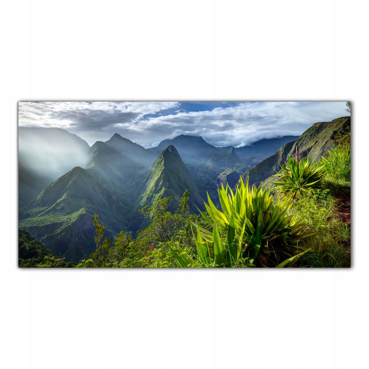 Tropické panely Džungľa Ostrov 100x50 Panel tvrdené sklo