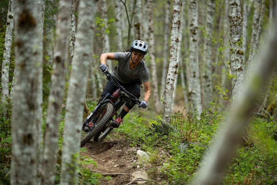 VANITY 50 ULTRAVIOLET koła 29 rama L 19 Kod producenta 72239