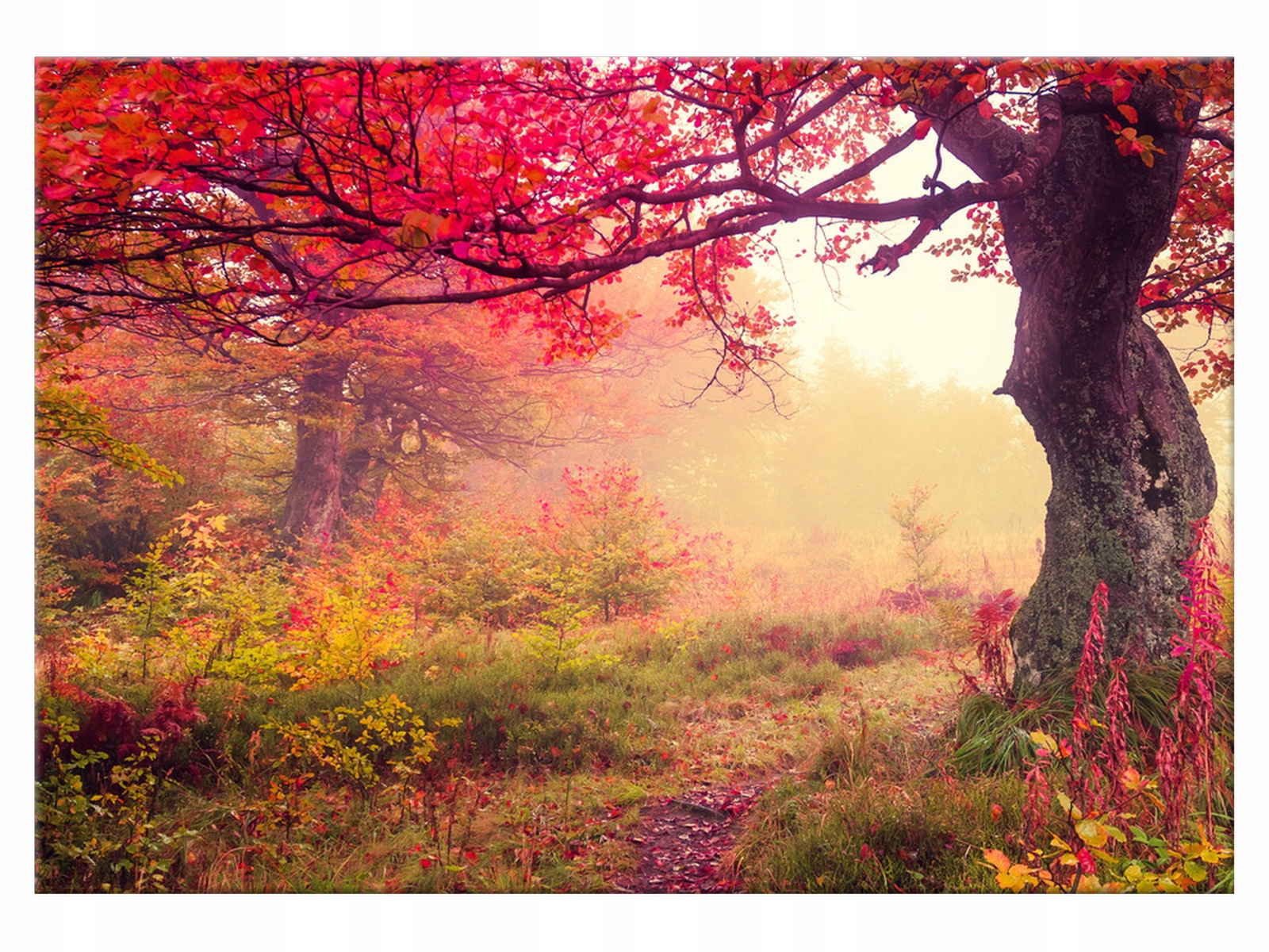 

Obraz Jesienny krajobraz 100x70 Pejzaż 2510A_1Z