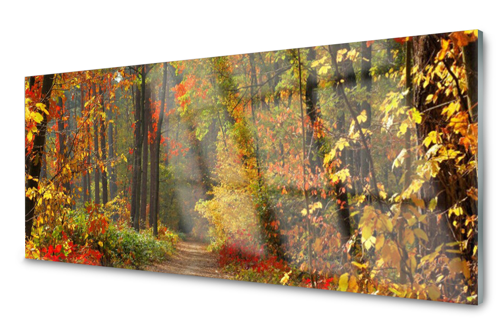 

Lacobel Panel Na Szkle Ścienny Las Jesień 140x70