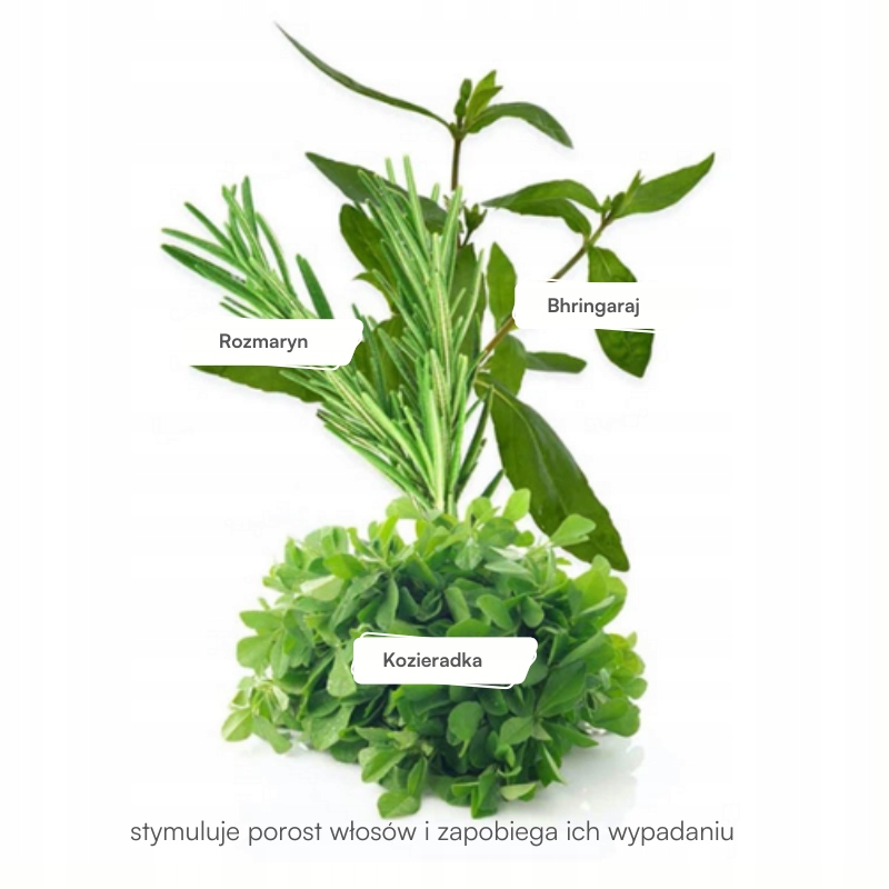 OLEJEK NA WŁOSY STYMULUJĄCY WZROST POROST NATURALNY KHADI 50ml Typ do spłukiwania