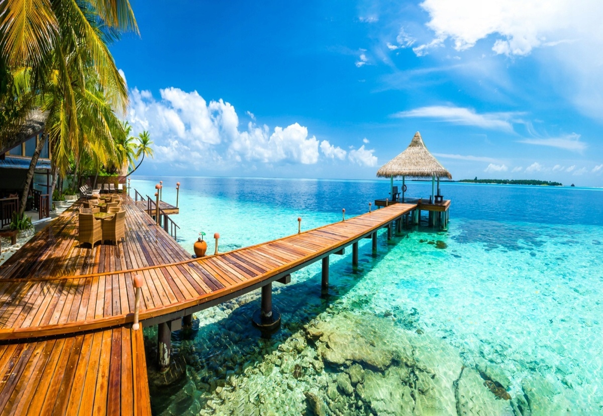 

Fototapeta Flizelinowa Tropikalny raj 152x104