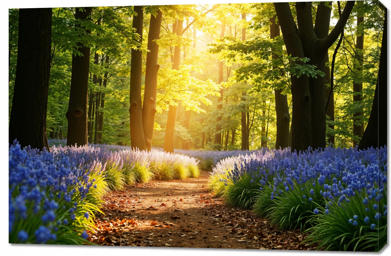 Obraz 120x80 cm na plátně do obývacího pokoje Ložnice Panorama Lesní stezka