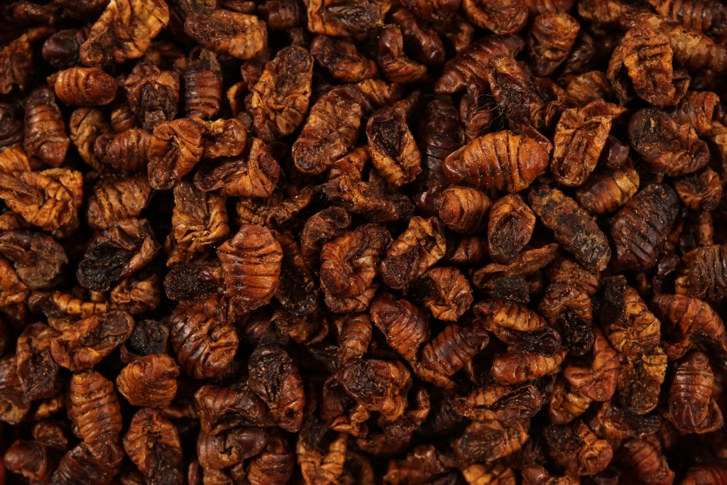 Levně Sušené Larvy Bource Morušového Glopex Bource Morušového 1 Kg