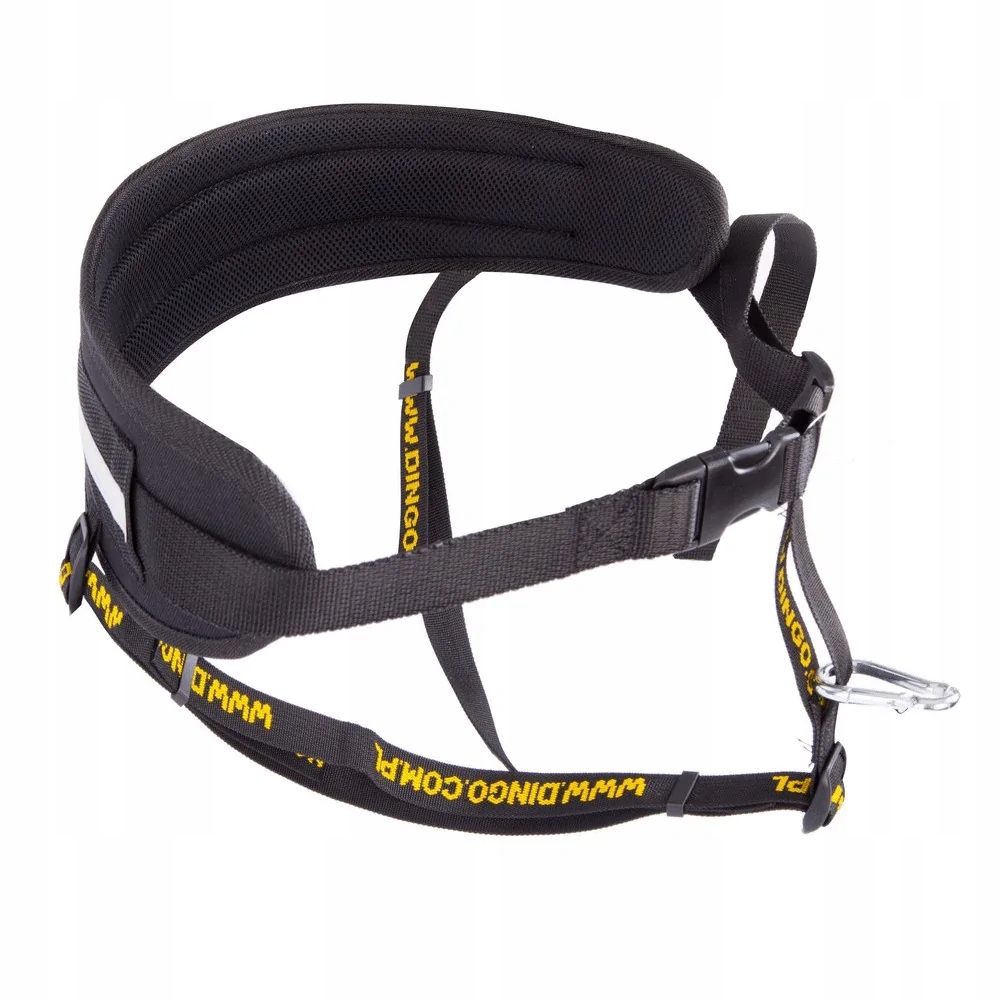 Levně Dingo Běžecký Pás Se Psem 4v1