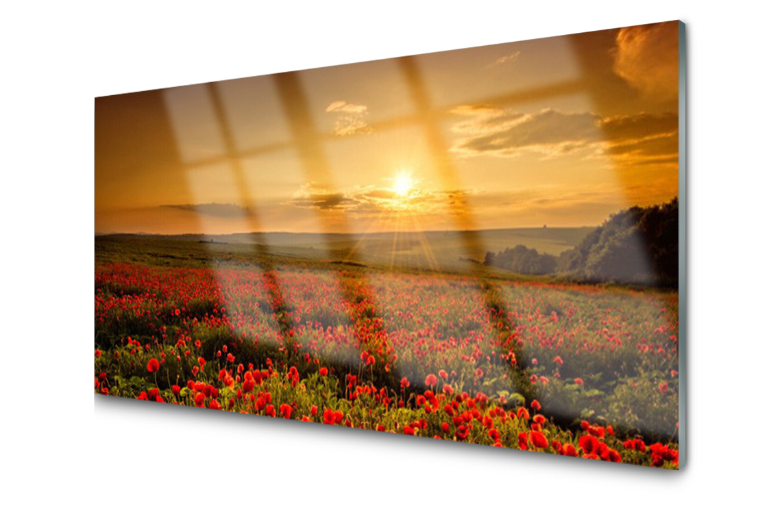 

Panel szklany Płytka Pole Maki Łąka 140x70