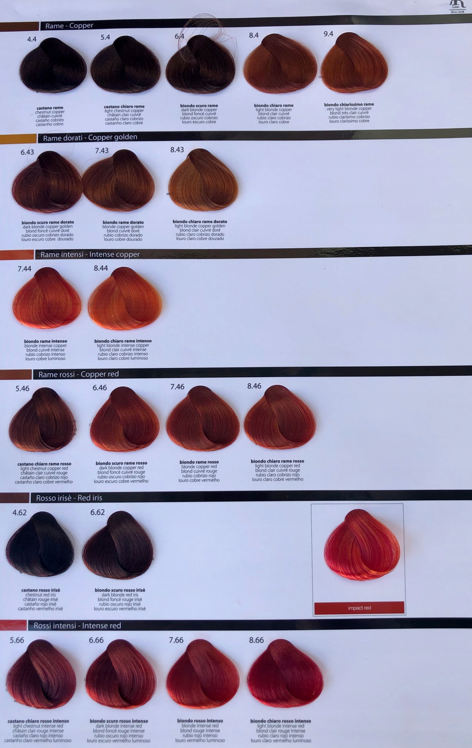 RR LINE FARBA DO WŁOSÓW CAŁA PALETA 100ml Kolor farby brązy