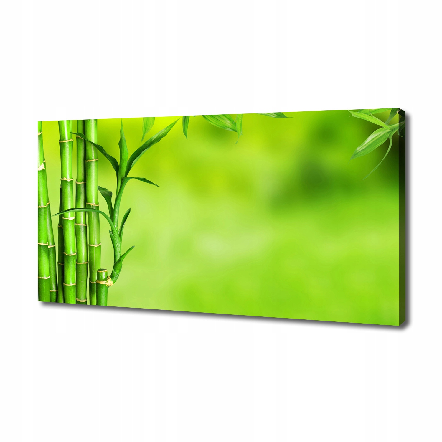 

Foto obraz duży canvas na ścianę Bambus 140x70 cm