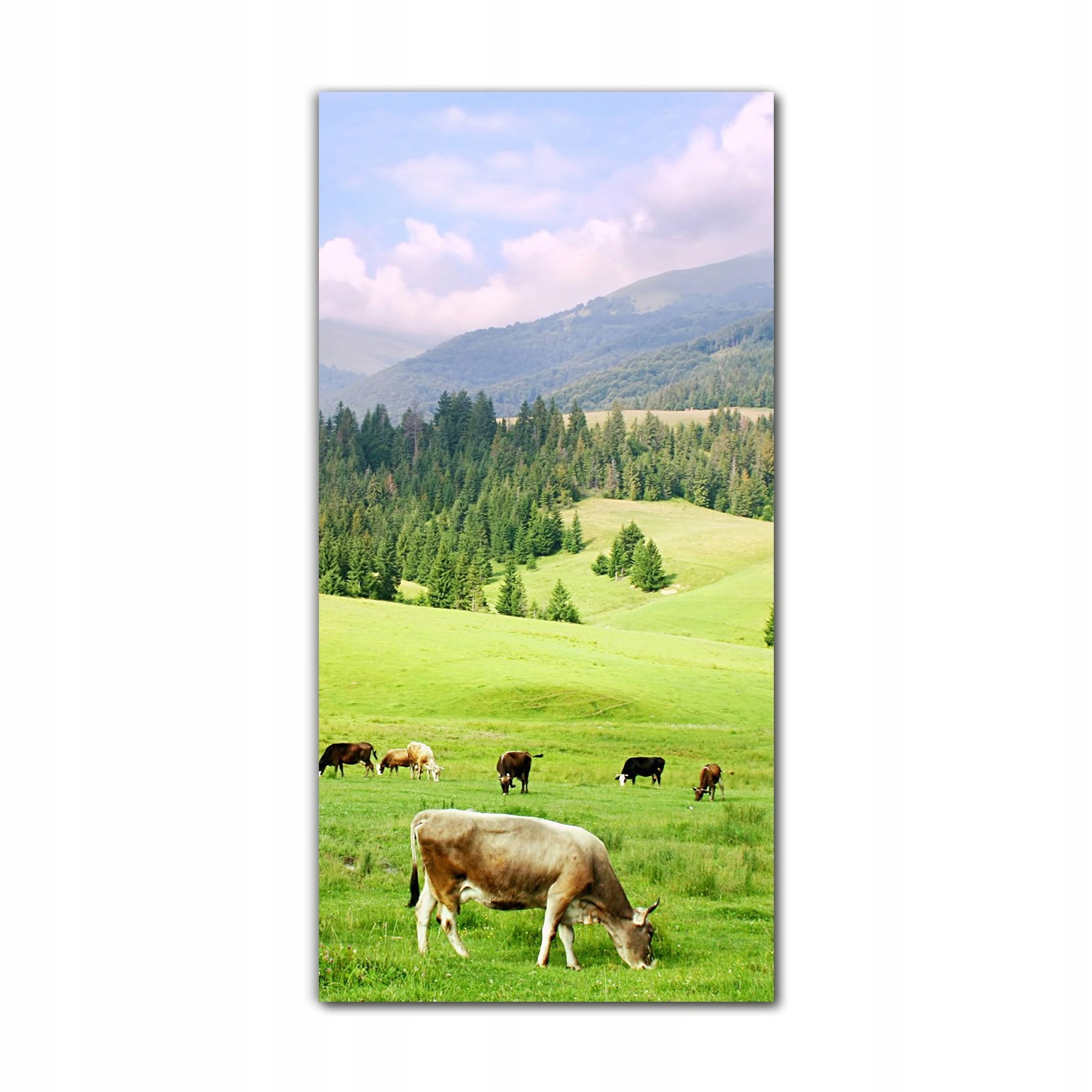 

Foto-obraz ścienny grafika 70x140 Karpaty natura