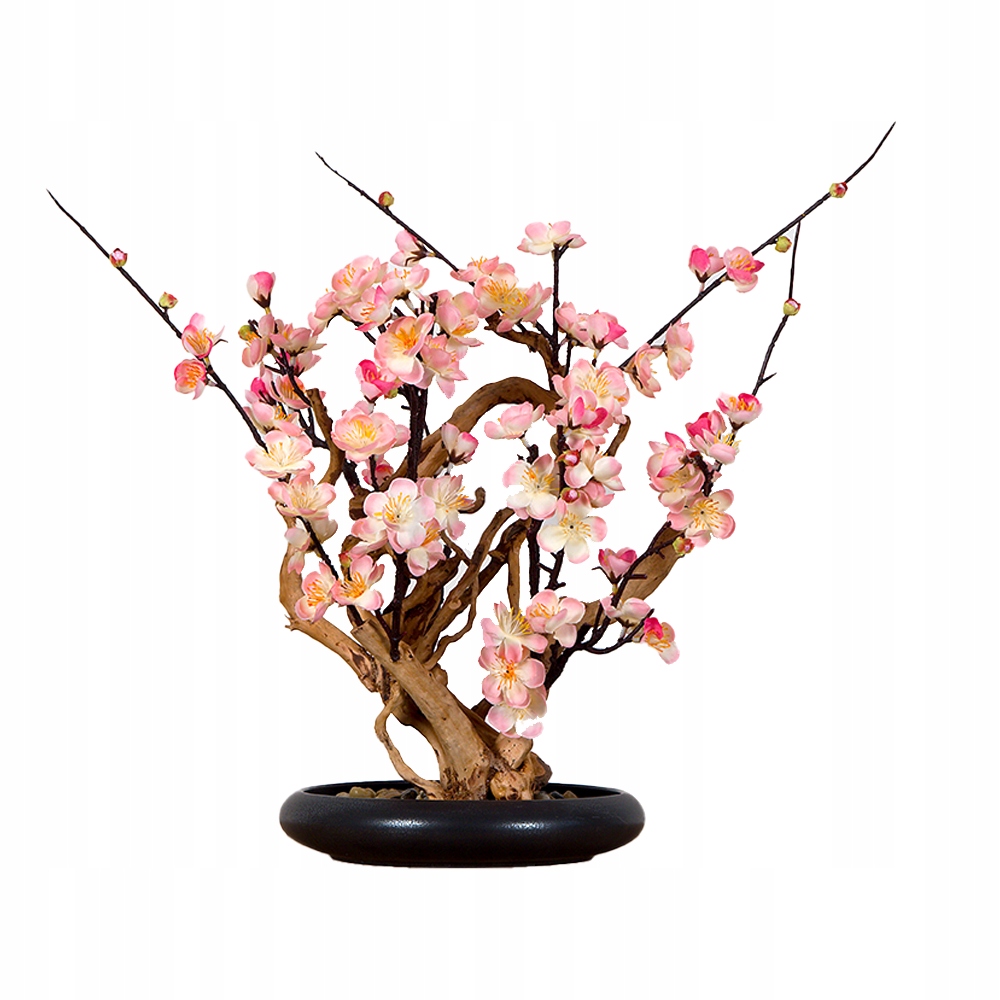 Izbová dekoratívna bonsai White plum (PN-39)
