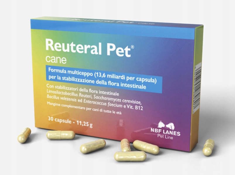 Reuteral Pet Cane Nbf Lanes