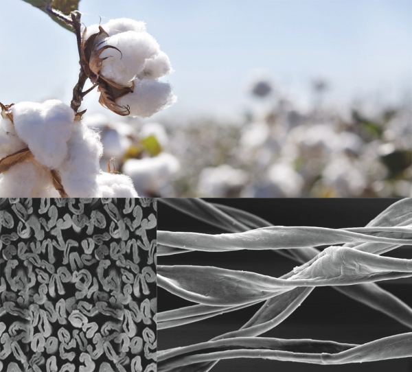 BÓG STWORZYŁ LUDZI NAJLEPSI SĄ WĘDKARZAMI KOSZULKA Rozmiar M