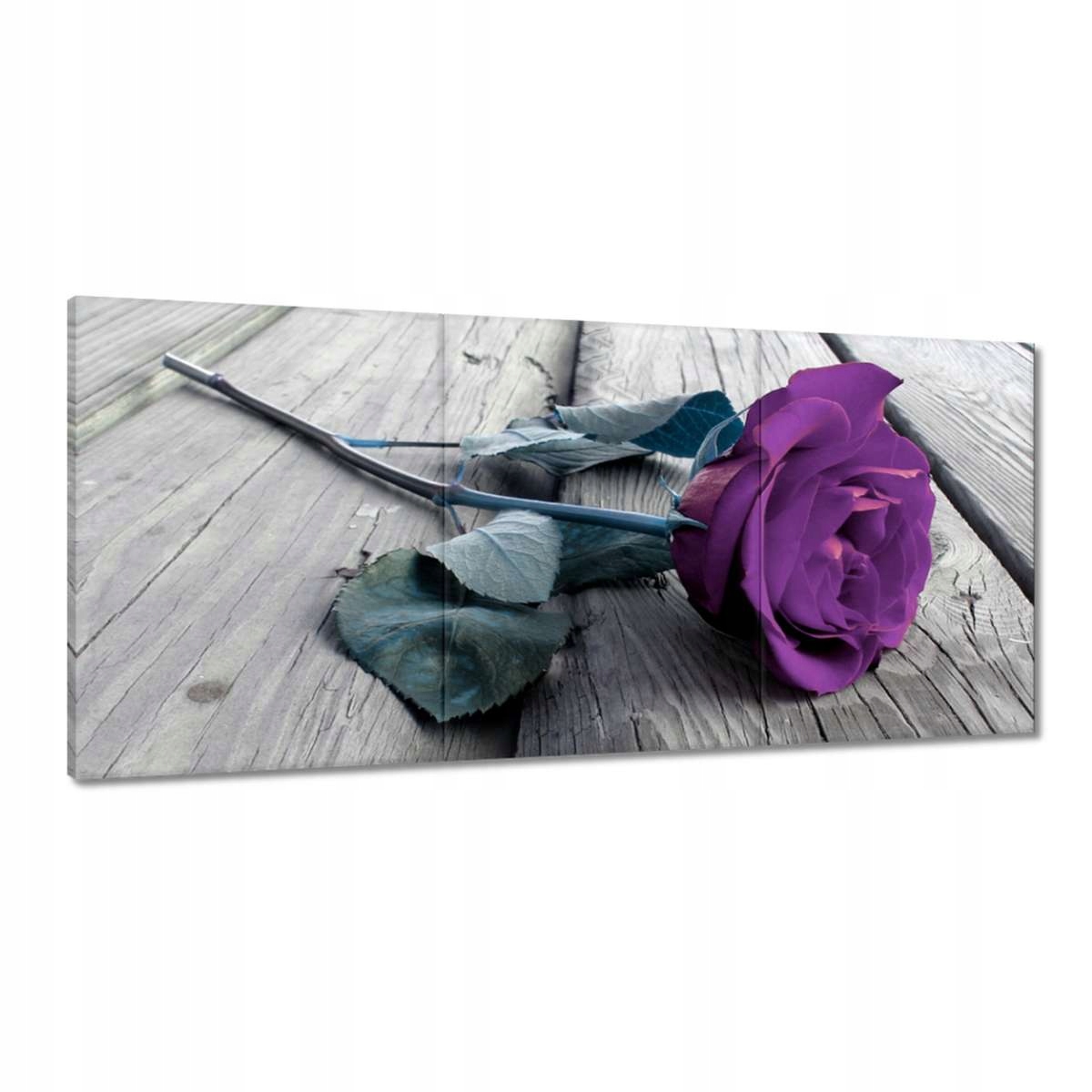 Obrazy 210x100 Fialová ruža Podlaha