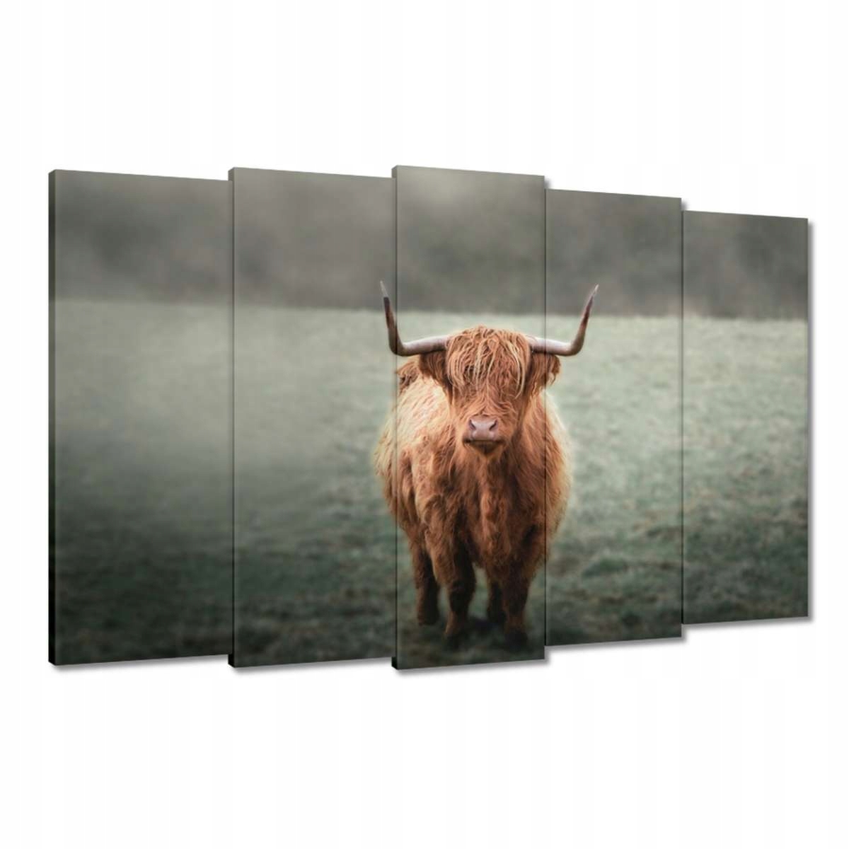 Obrazy 150x95 Jako s rohy Horská louka