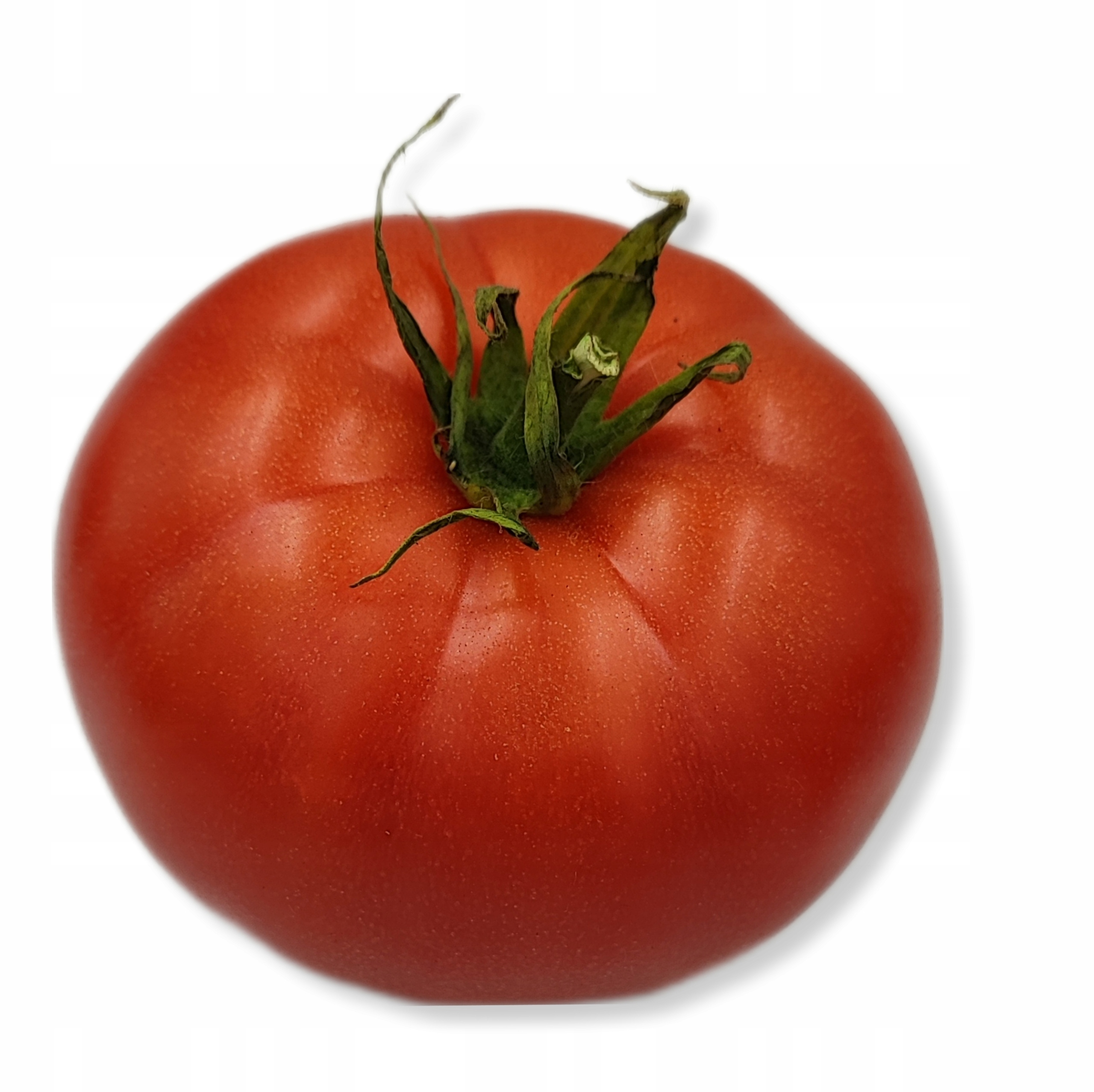 Pomidor MALINOWY 1szt POLSKI ŚWIEŻY