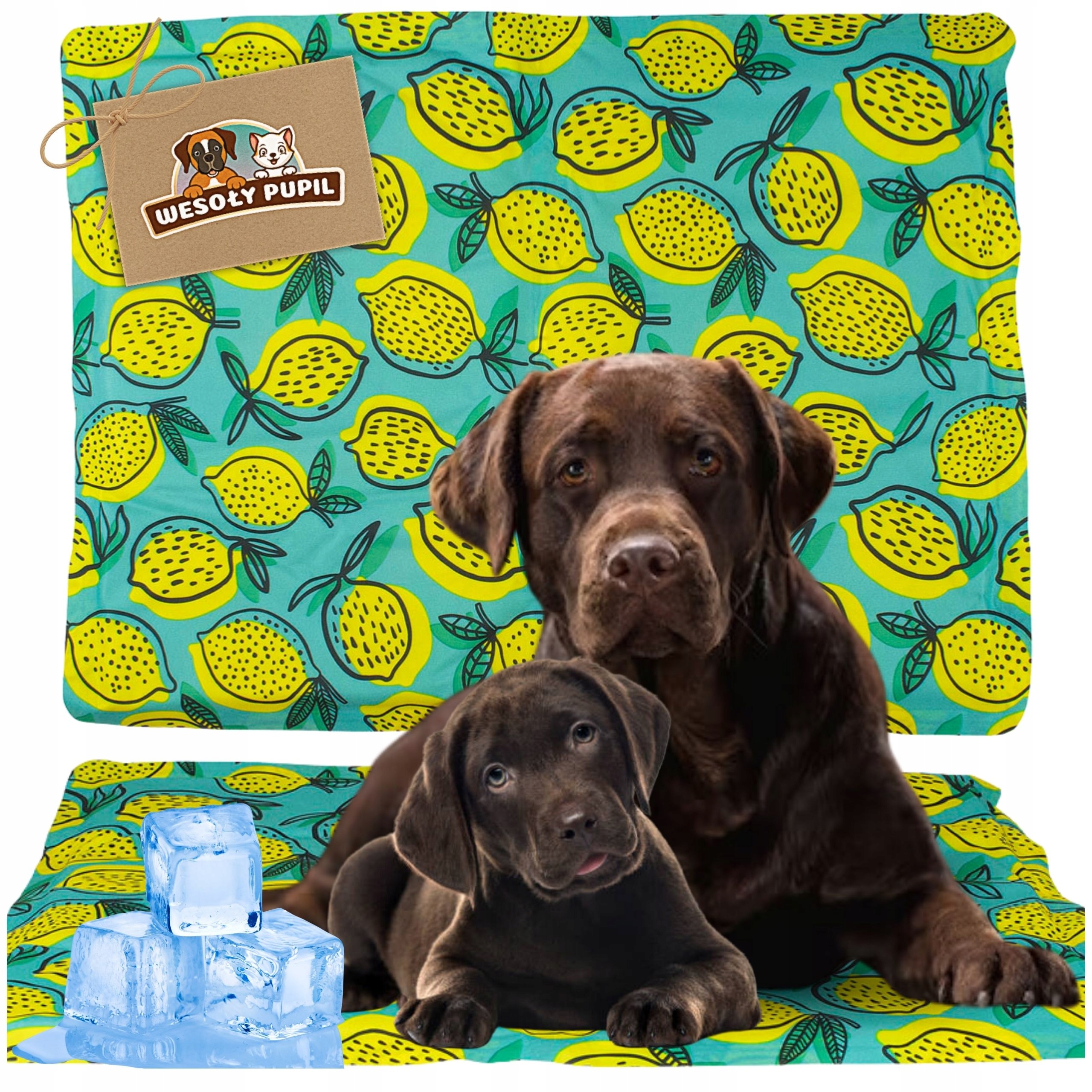 Levně Wesoły Pupil podložka pro psa, vícebarevná, 90 cm x 50 cm