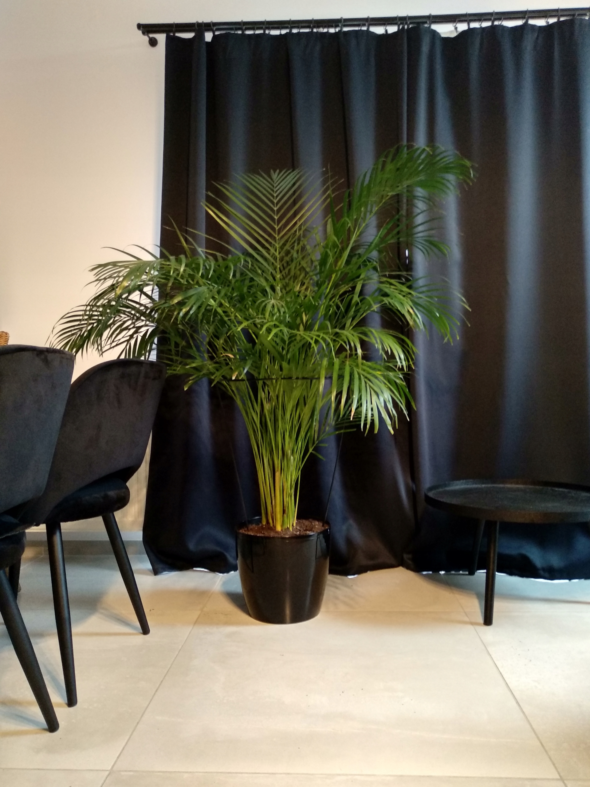 PERGOLA OGRODOWA METALOWA PODPORA DO ROŚLIN KWIATÓW OBEJMA CZARNA 70 CM Marka Kapaga