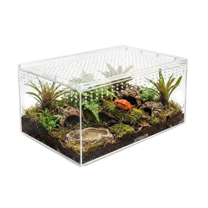Happet Terrarium Akrylowe Strong 30x20x15 cm dla pająka skorpiona gada