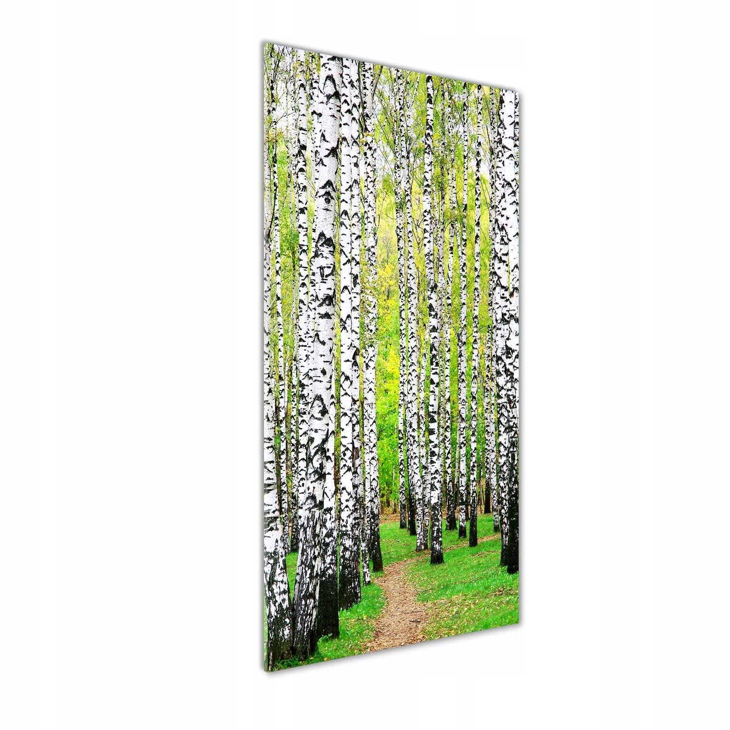 

Nowoczesny fotoobraz akrylowy Las brzozowy 50x125