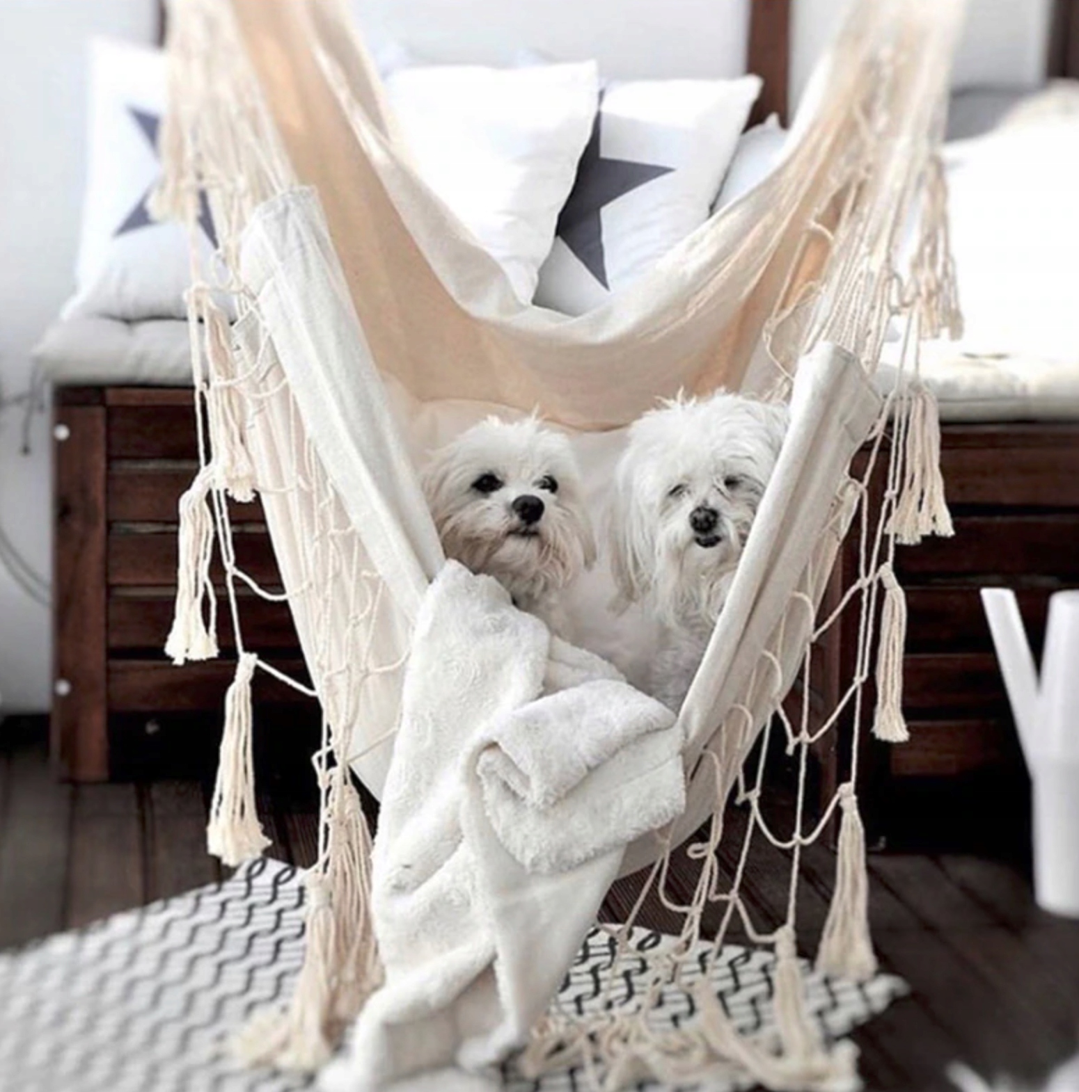 FOTEL WISZĄCY hamak KRZESŁO BRAZYLIJSKIE HUŚTAWKA Rodzaj krzesło brazylijskie