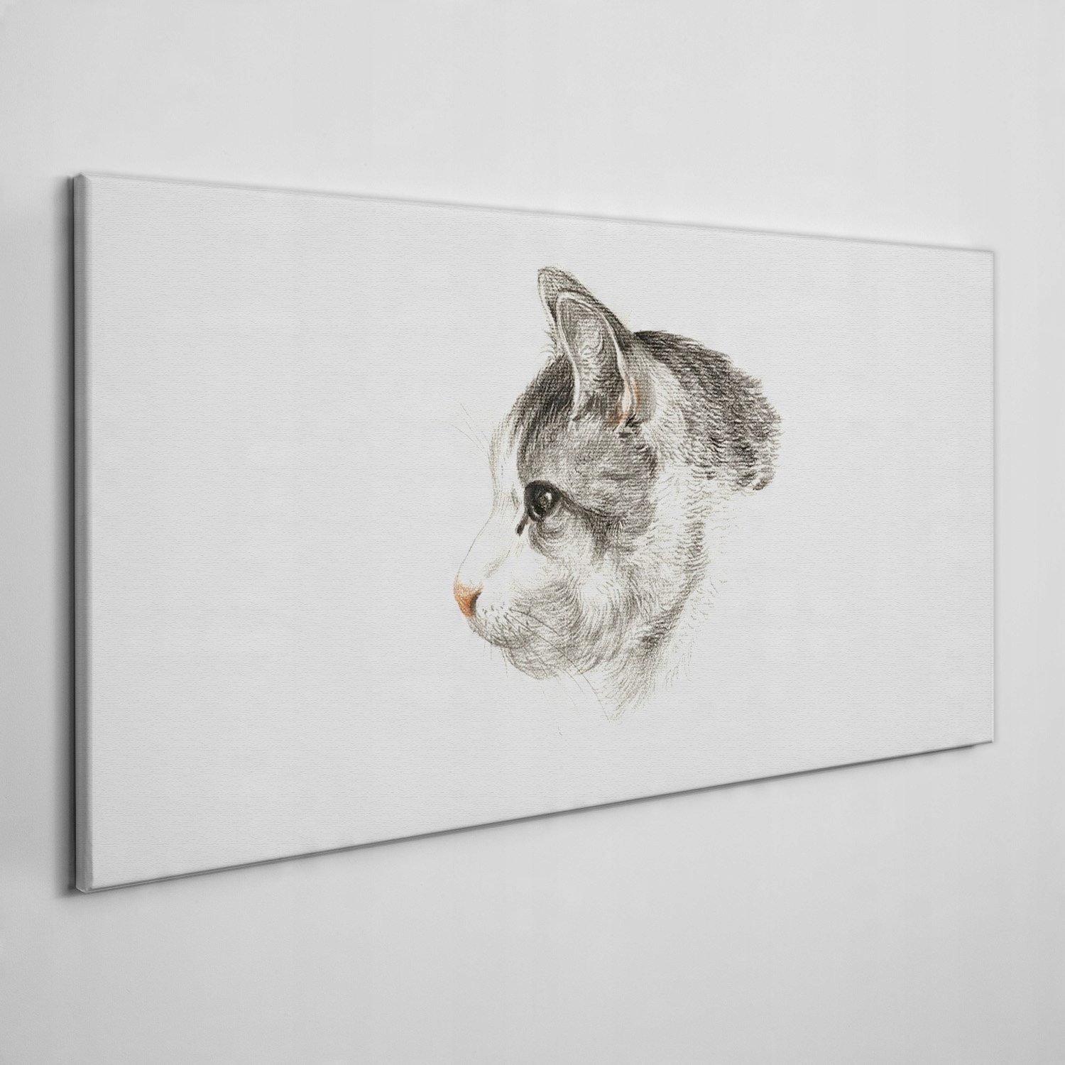 

Obraz na płótnie na ramie Zwierzę kot 140x70 cm