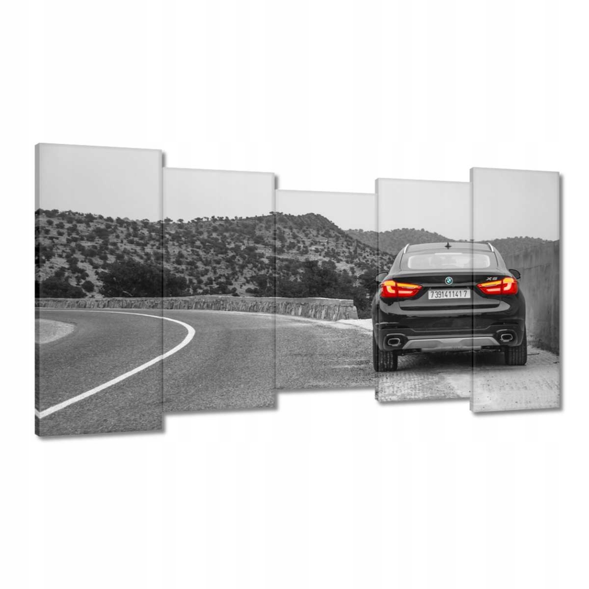 Obrazy 150x80 Bmw černé X6