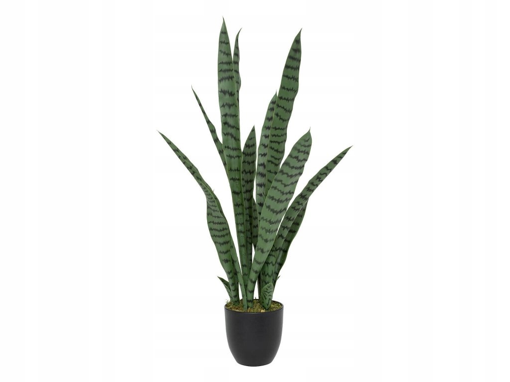 Umelá izbová rastlina sansevieria Toby, 90 cm