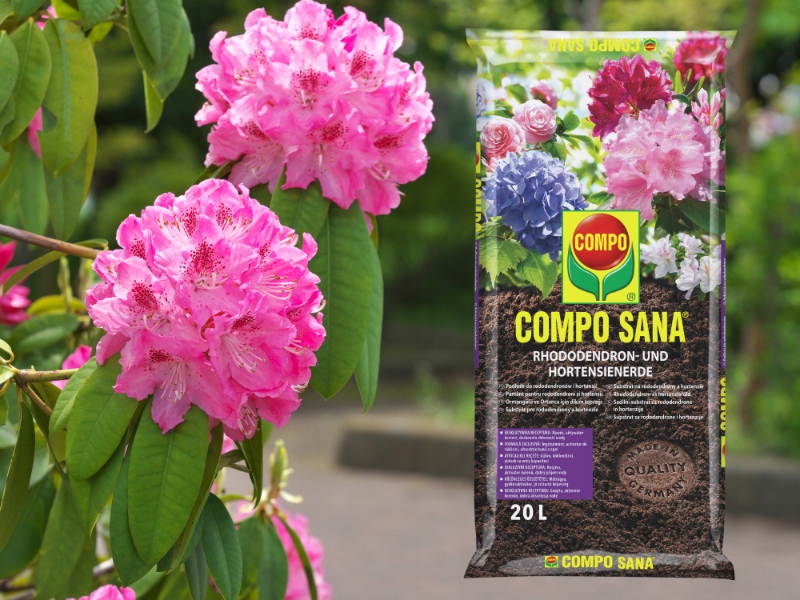 PODŁOŻE ZIEMIA DO RODODENDRONÓW AZALII HORTENSJI KWAŚNOLUNYCH 20L COMPO Rodzaj inna