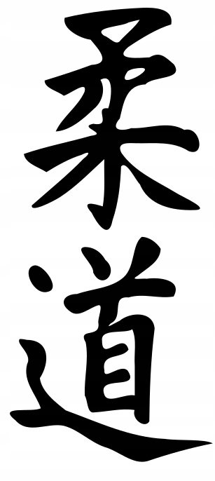 

Naklejka na samochód Judo 17 X 7,6 CM