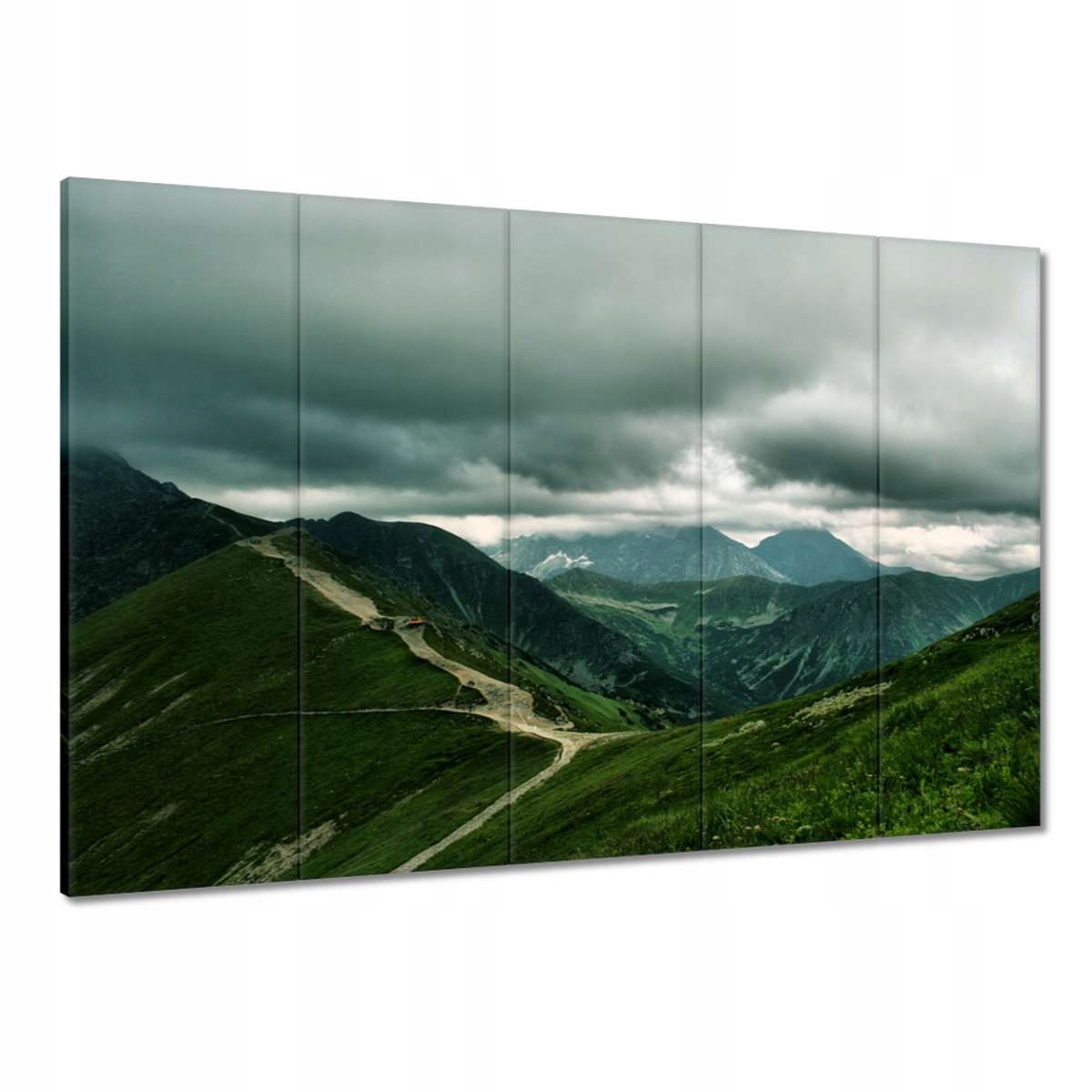 Obrazy 100x70 Tatry Polské hory Pohled