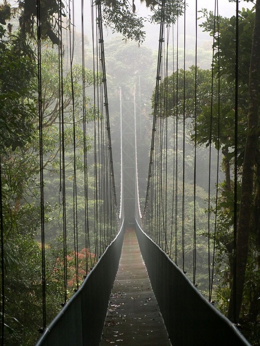 

Fototapeta flizelina na wymiar Most