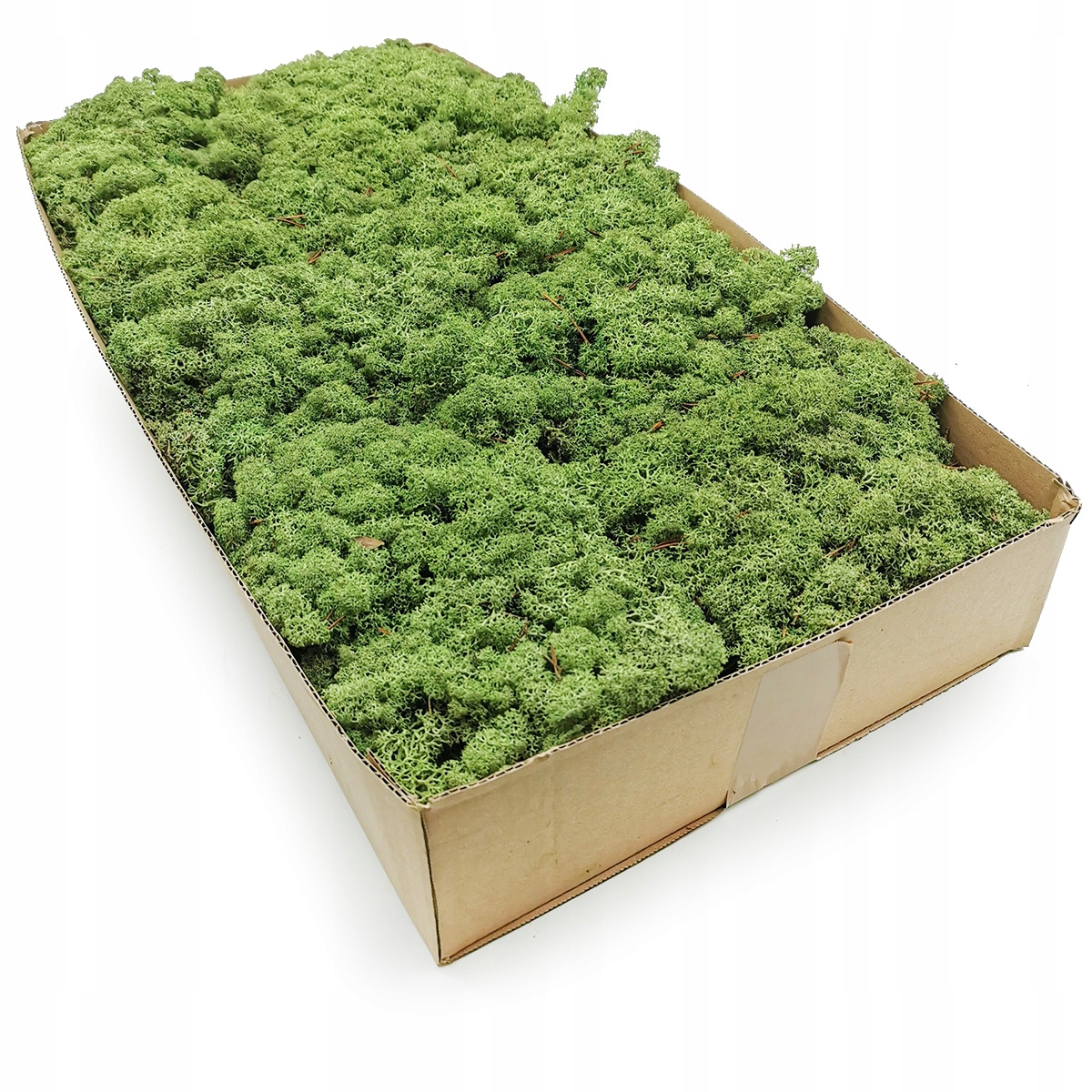 Mech chrobotek norweski 500g Marka inna