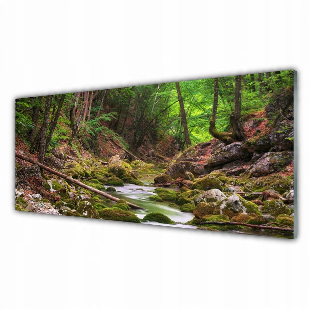 

Fotoobraz z grafiką ścienny 125x50 Las Mech Natura