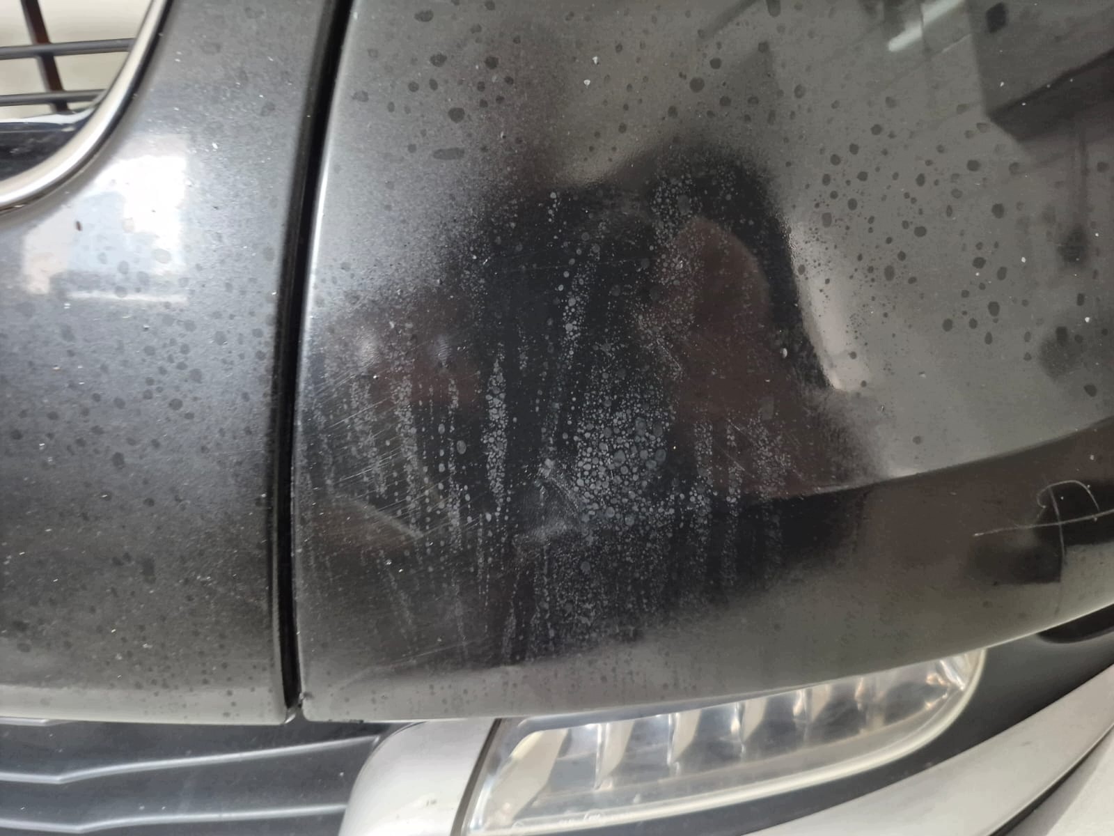 RENAULT SCENIC III LIFT 12-13 bumper front front SPR LAK.TEGNE